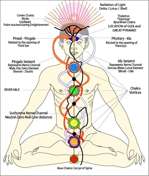 The chakras are points within the body where ‘Kundalini energy’ - which flows from the base chakra at the bottom of the spine to the top of the head - connects with the Nadi energy channels that spiral up and down through the body, intersecting the Kundalini line as the go.