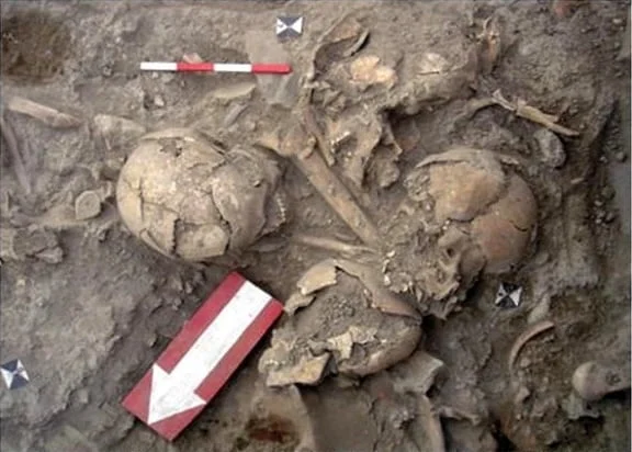 Excavations within the Canadian Indian Residential School discovered remains of children in 31 mass graves. 50,000 children are estimated to have disappeared from such schools in Canada.