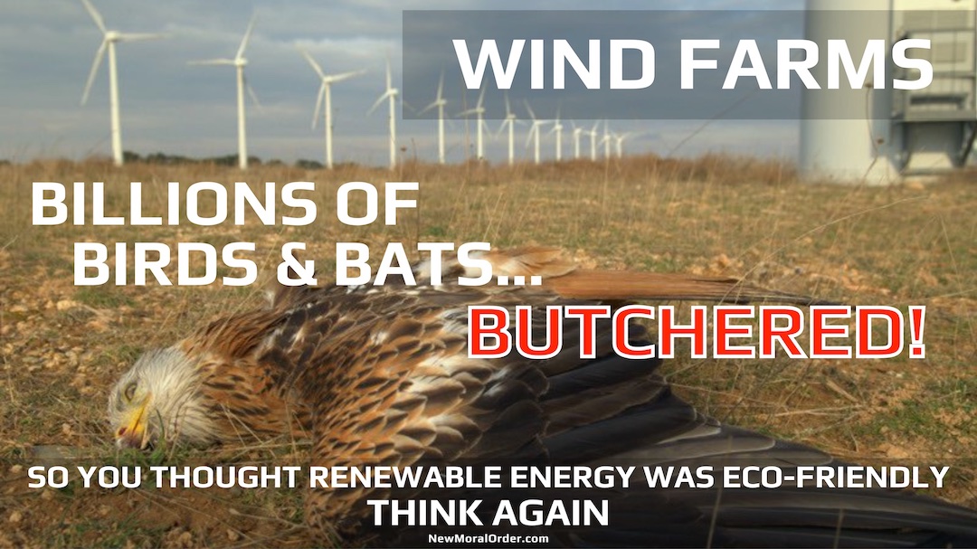 15. Bird Butcher Wind Farms