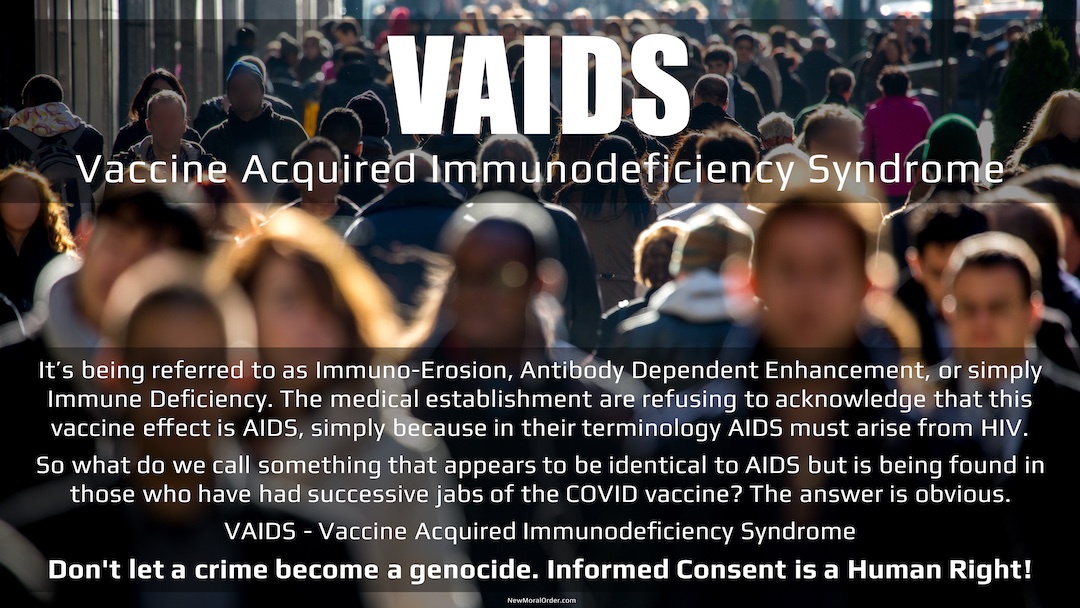 VAIDS: Vaccine Acquired Immunodeficiency Syndrome