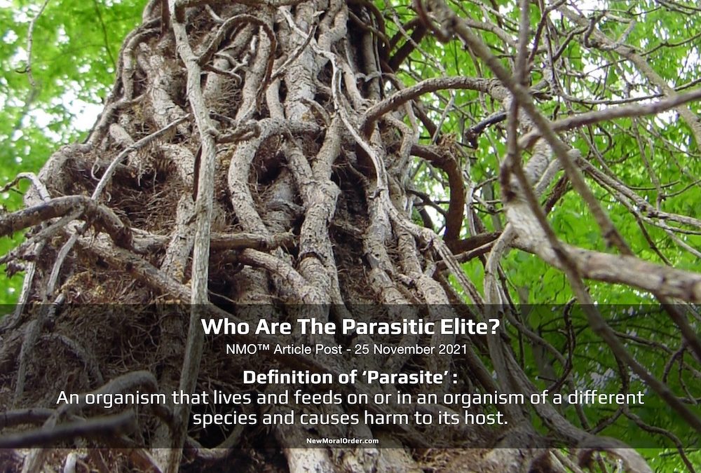 Who Are The Parasitic Elite? Definition of 'Parasite': An organism that lives and feeds on or in an organism of a different species and causes harm to its host. newmoralorder.com