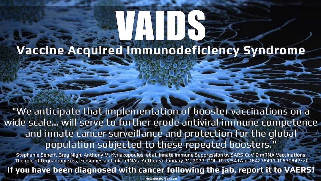 VAIDS (Vaccine Acquired Immunodeficiency Syndrome) & Cancer. "We anticipate that implementation of booster vaccinations on a wide scale will make all of these problems only more acute, and it will serve to further erode antiviral immune competence and innate cancer surveillance and protection for the global population subjected to these repeated boosters." Stephanie Seneff et al January 21 2022 Study.