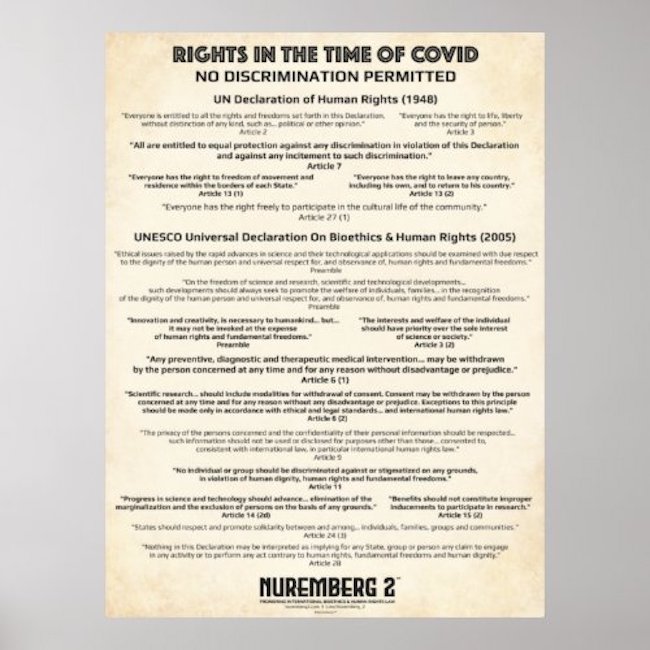 UN Declaration On Human Rights 1948 Medium Poster - Vintage Paper Background